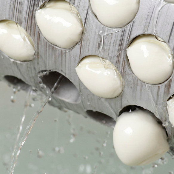 Mozzarella class